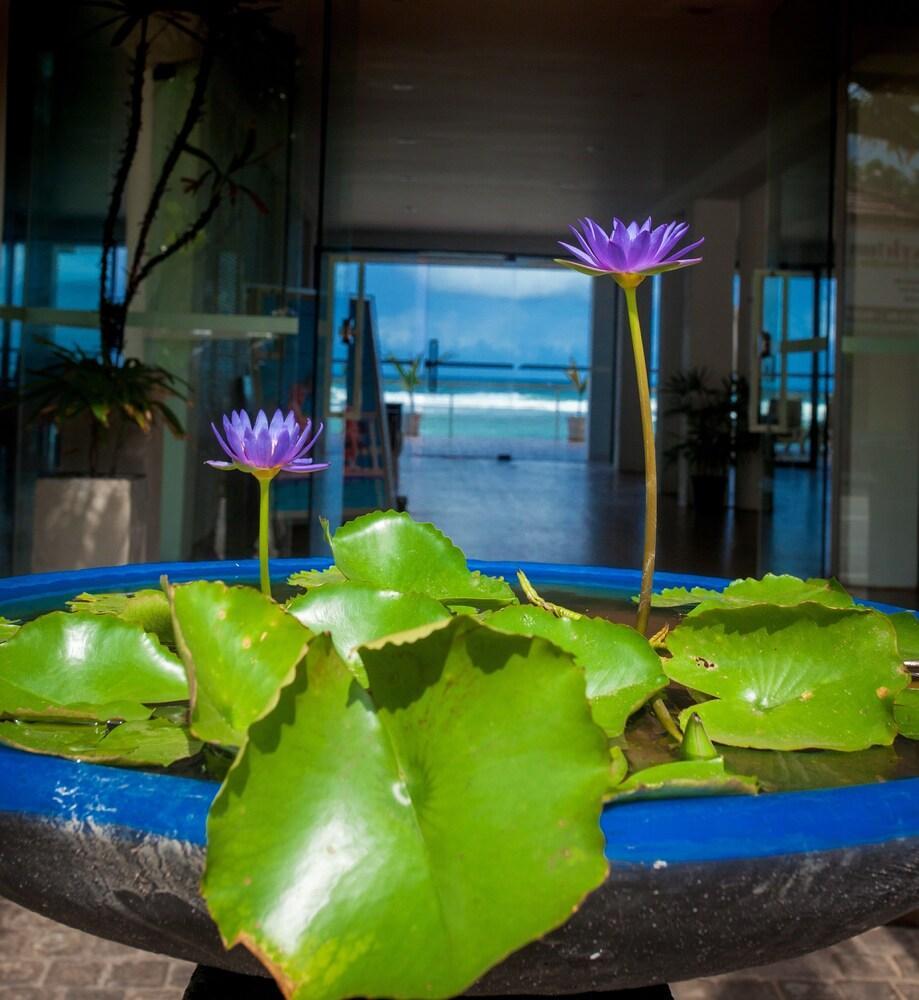 Hotel Coral Rock By Bansei Hikkaduwa Zewnętrze zdjęcie